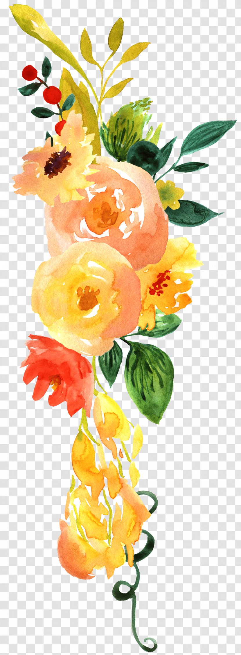 Watercolor Painting Clip Art Image - Motif - Carnations Cartoon Transparent PNG