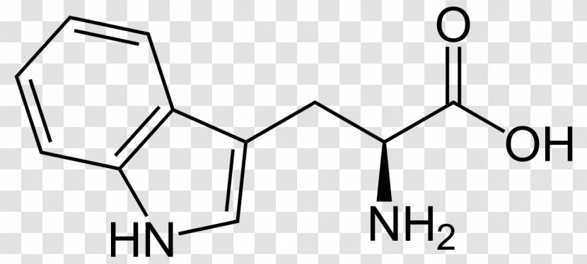 5-Hydroxytryptophan Amino Acid Structure Side Chain - Brand - Serotonin Transparent PNG