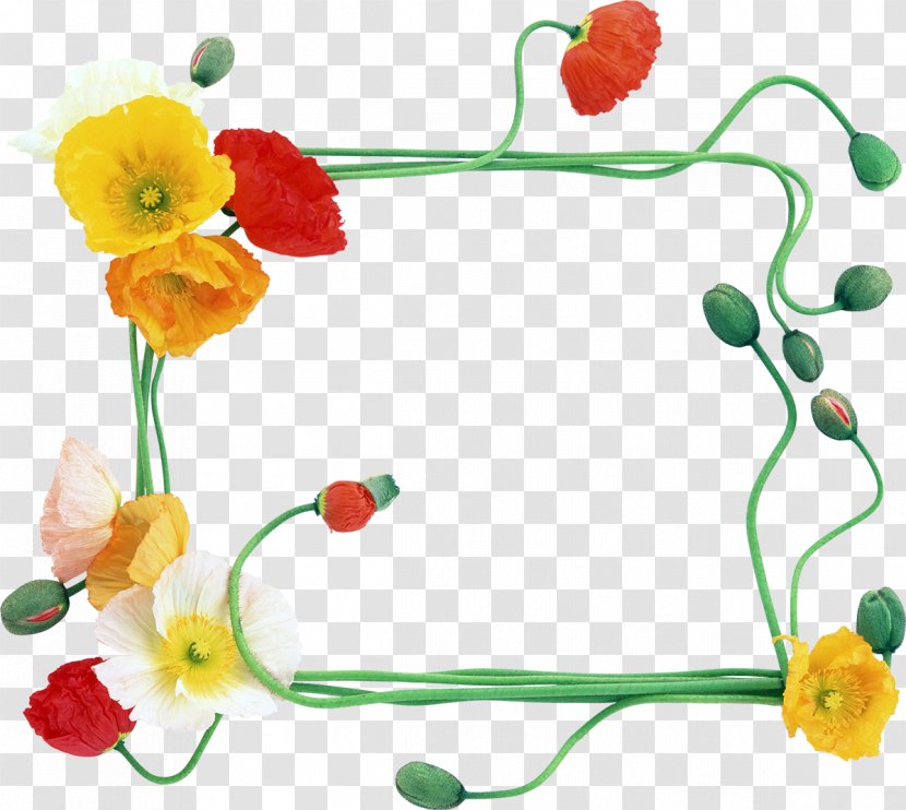 Picture Frames Flower Clip Art - Floristry - Frame Transparent PNG