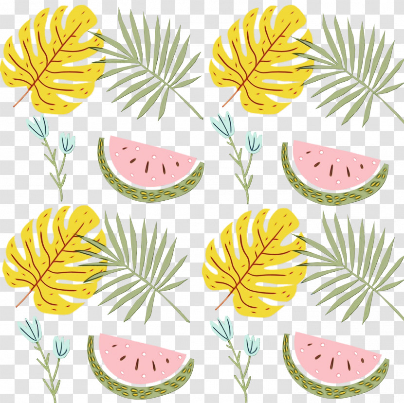 Floral Design Transparent PNG