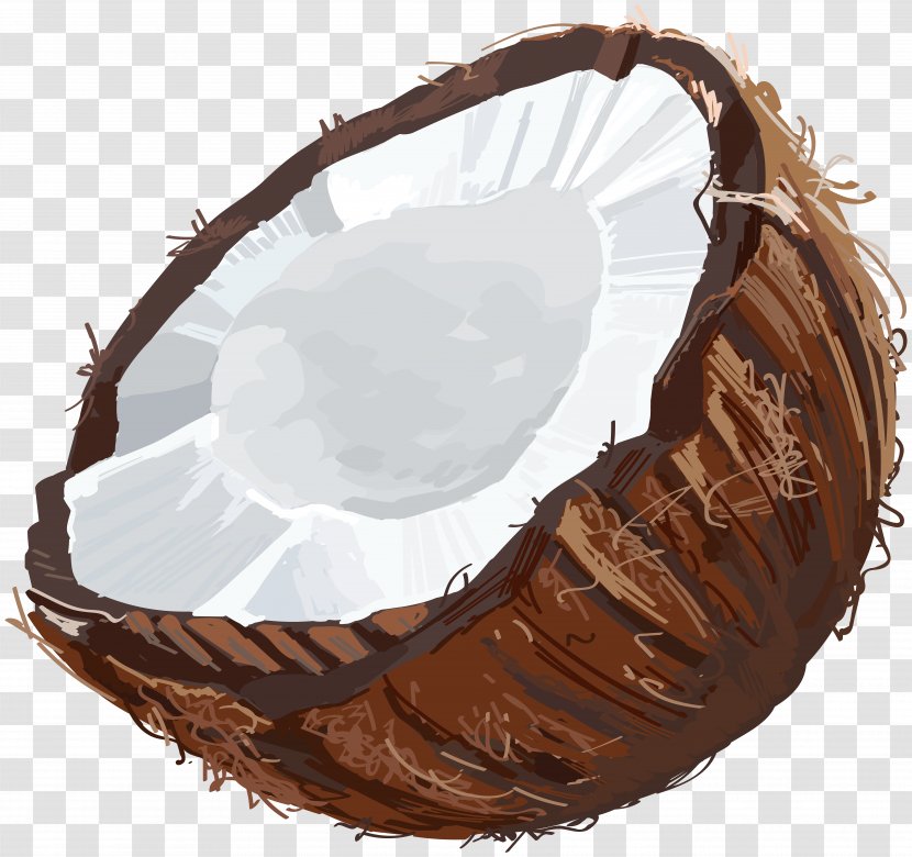 Fruit Clip Art - Coconut - Coconout Transparent PNG