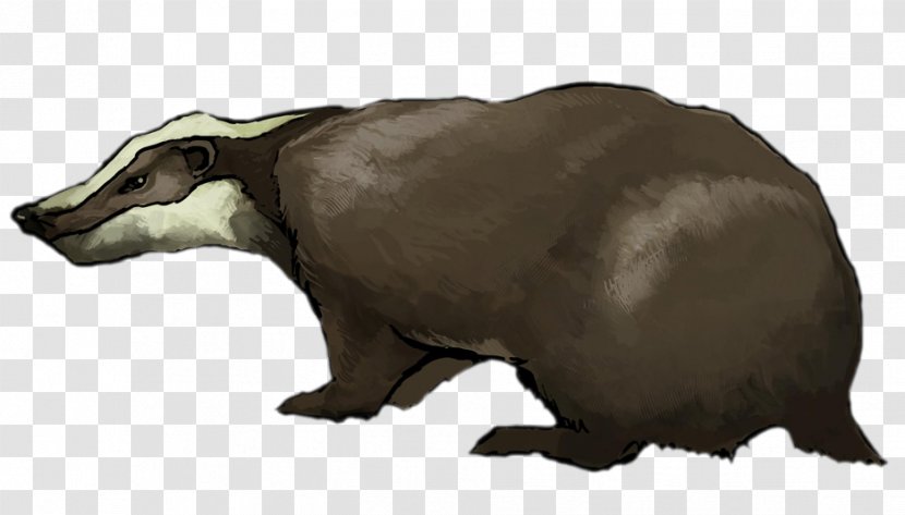 European Badger Clip Art - Terrestrial Animal - Wildlife Transparent PNG