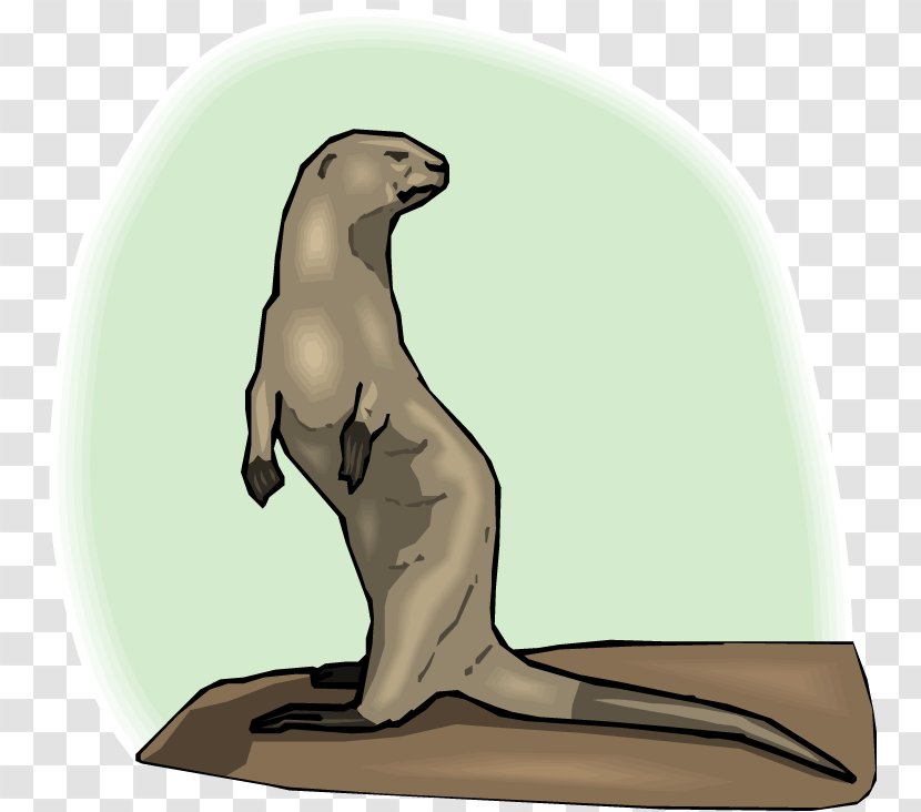 Sea Lion Pinniped Animal - Joint - Pictures Of Bears Standing Up Transparent PNG