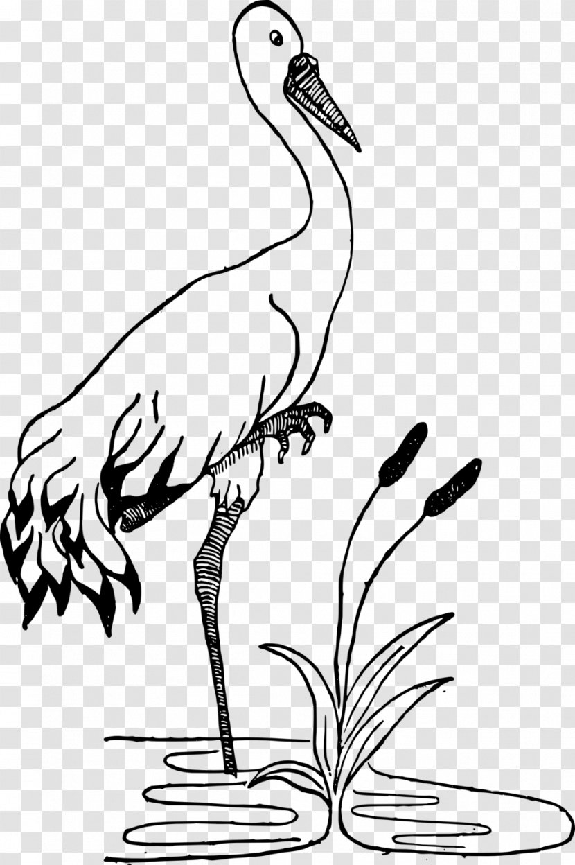 Crane Black And White Drawing Clip Art - Duck - Stork Transparent PNG