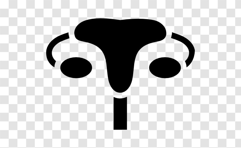Female Reproductive System Ovary Fallopian Tube - Heart - Uterus Icon Transparent PNG