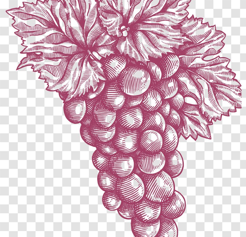 Grape Floral Design Pattern Transparent PNG