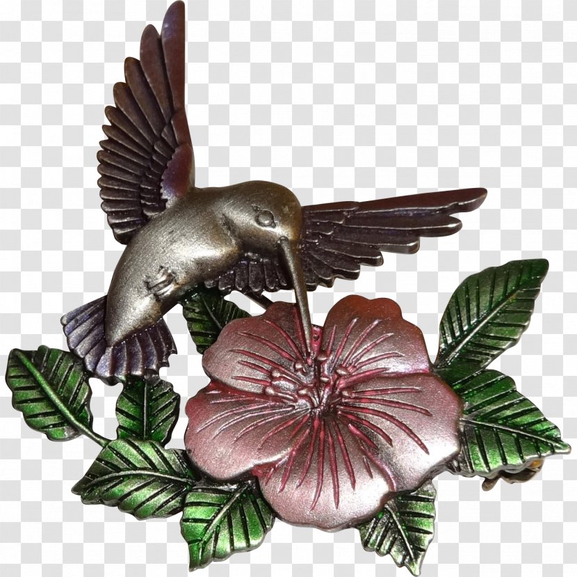 Hummingbird M Pollinator - Bird Transparent PNG