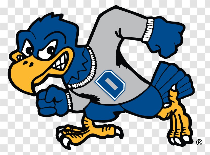 Dickinson State University Blue Hawk Football Hawks Women's Basketball Roosevelt Men's - College Transparent PNG