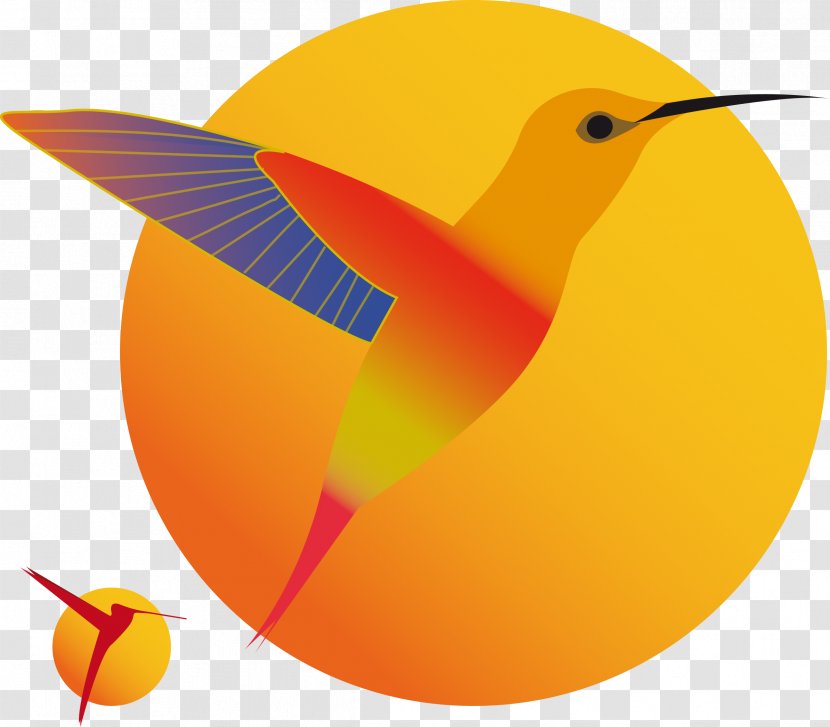 Hummingbird Clip Art - Fruit - Watch Transparent PNG