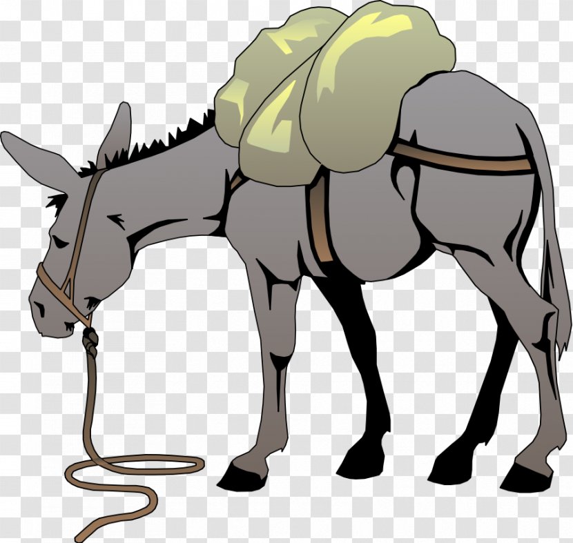 Donkey Free Content Clip Art - Mule - Cliparts Transparent PNG
