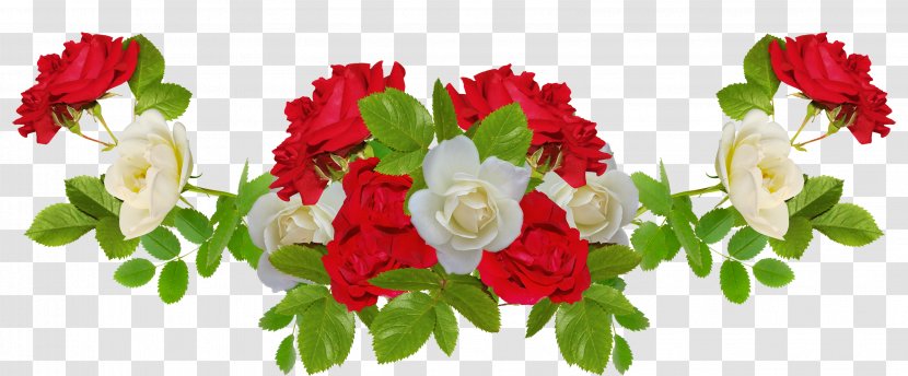 Flower Rose White - Garden Roses - Red And Transparent PNG