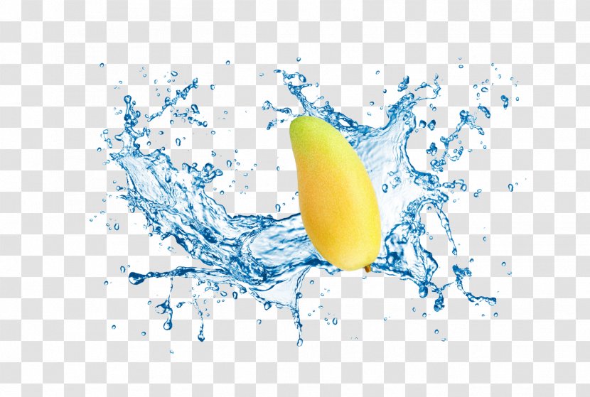 Water Clip Art - Drop - Dynamic Splash Spray Droplets Mango Fruit Transparent PNG