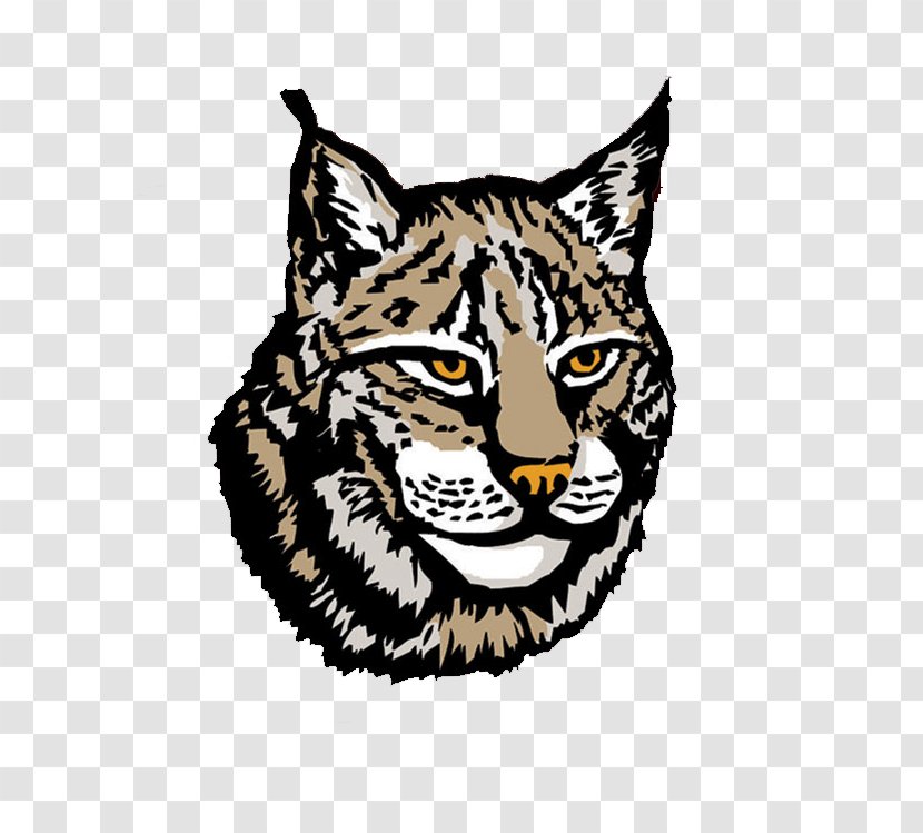 Canada Lynx Clip Art - Bobcat - Small To Medium Sized Cats Transparent PNG