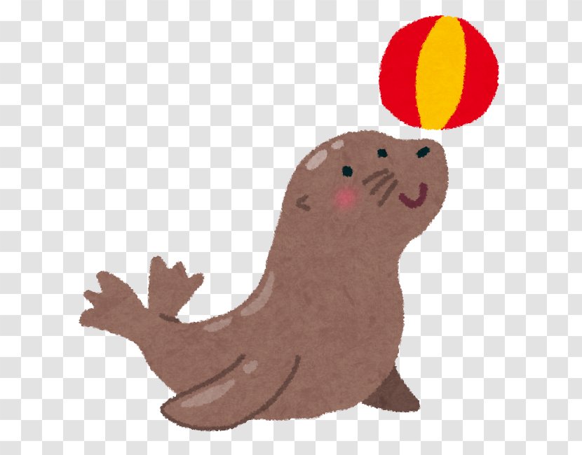 Sea Lion Earless Seal いらすとや - Adult Transparent PNG