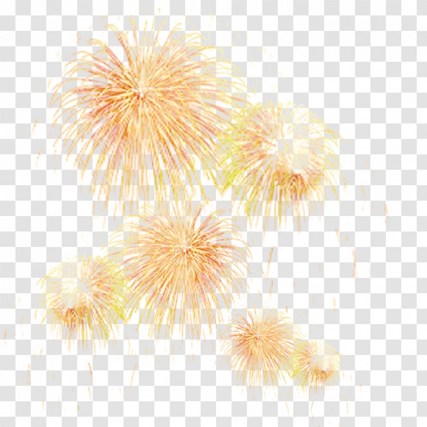 Adobe Fireworks Firecracker - Petal - Effect Transparent PNG
