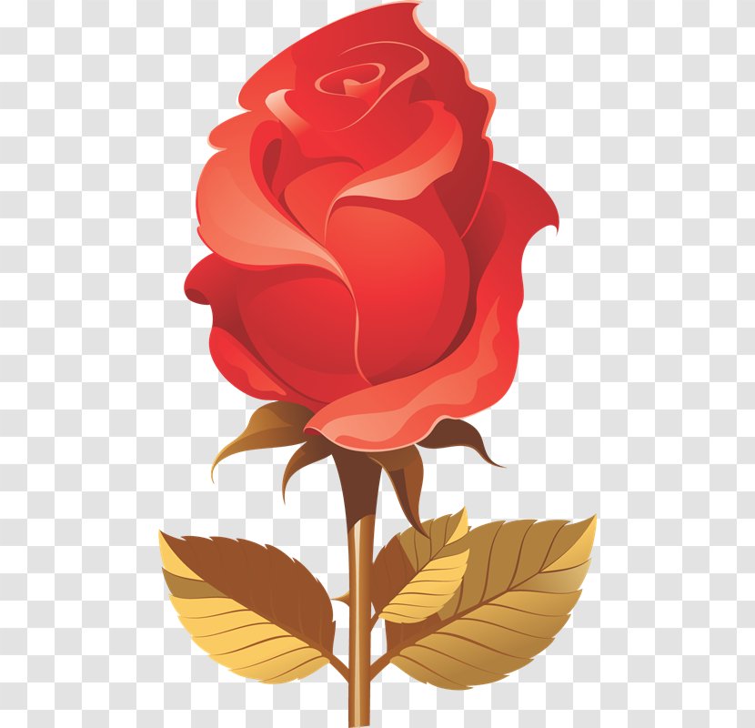 Clip Art Image Idea Rose - Ki Transparent PNG