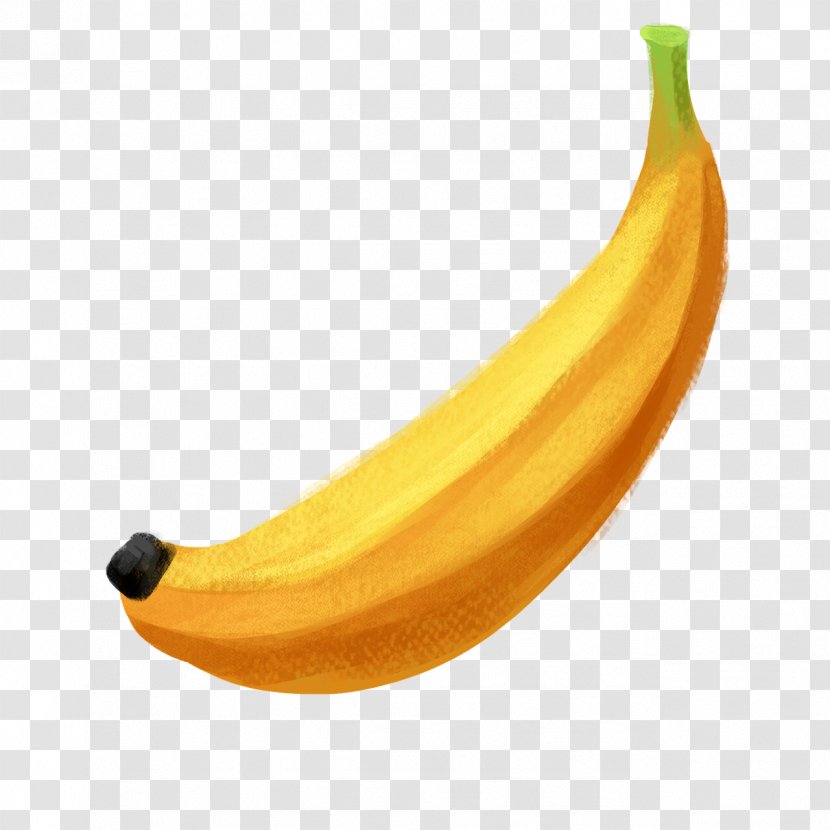 Banana Bread Drawing - Fruit Transparent PNG