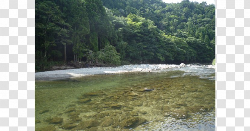 Chikusa Gawa 羽束川 清流 Anabuki River Niyodo - Jungle - Water Transparent PNG