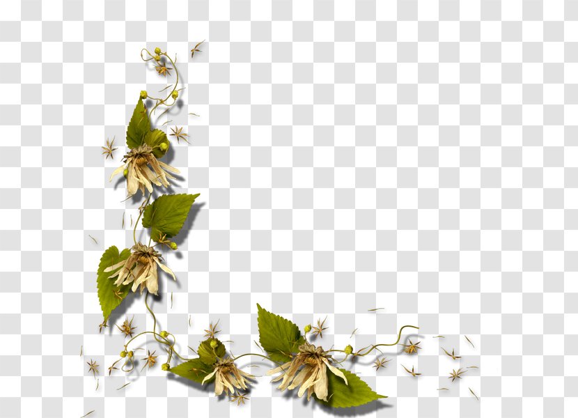 Thepix Clip Art - Flowering Plant - Watercolor White Flower Transparent PNG