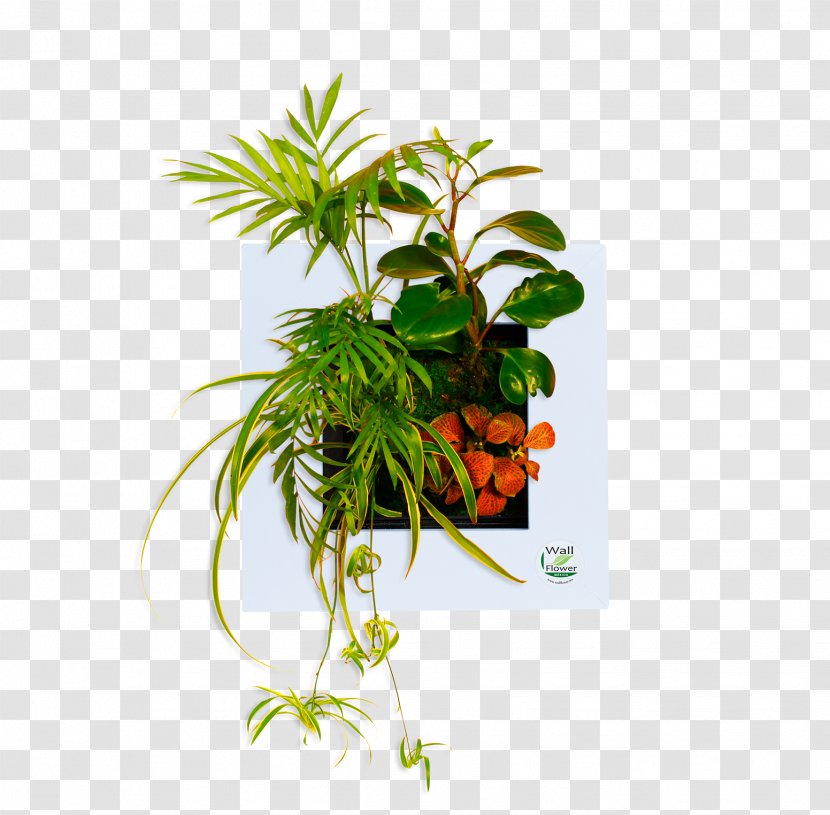 Leaf Flowerpot Houseplant Plant Stem Herb Transparent PNG