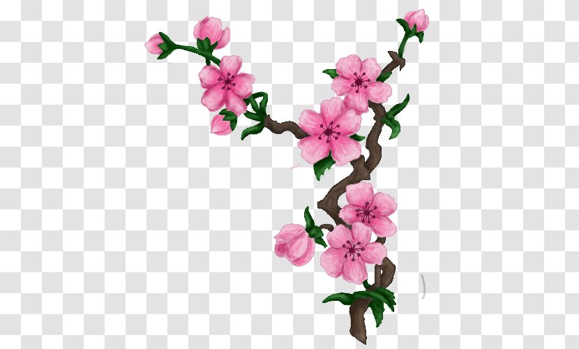 Cherry Blossom Drawing Art - Painting Transparent PNG