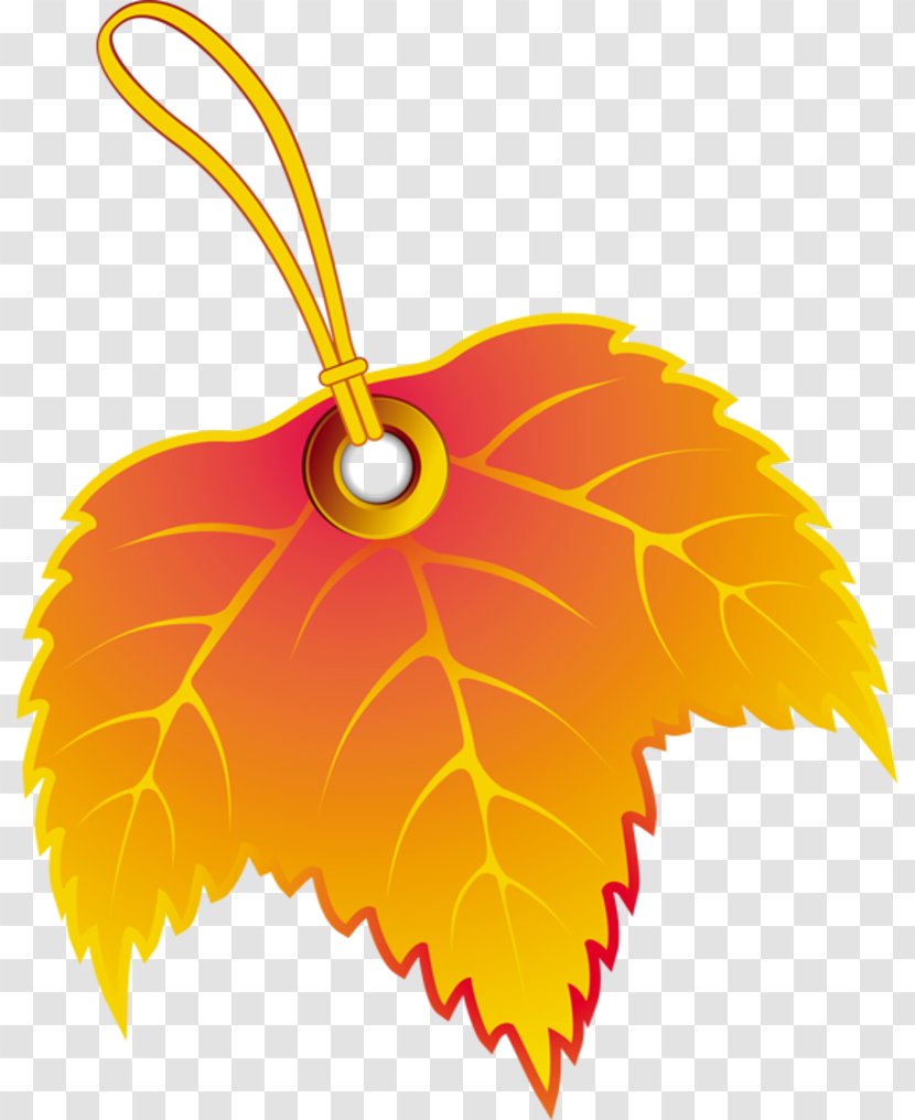 Autumn Clip Art - Wing - Lissenfield Transparent PNG