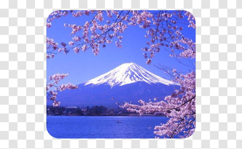 Lake Kawaguchi Mount Fuji Ashi Three Holy Mountains Suwa - Mountain Transparent PNG