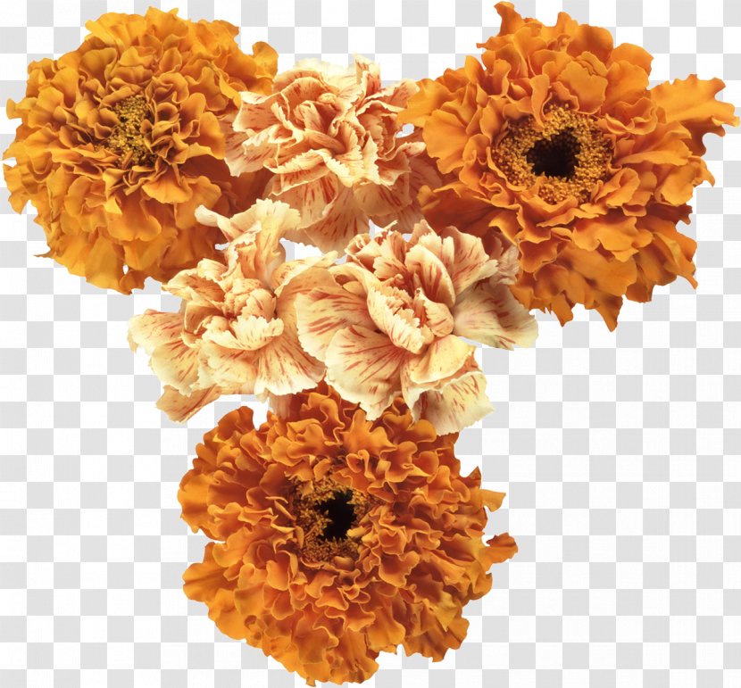 Cut Flowers Orange Clip Art - Color - Flower Transparent PNG