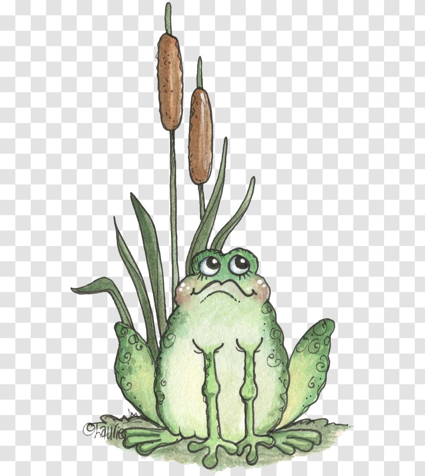 Tree Frog Cartoon Illustration - Drawing Transparent PNG