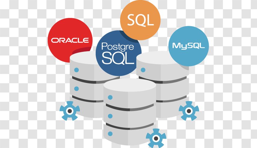 Web Development Software Database Developer Oracle SQL - Organization - Business Transparent PNG