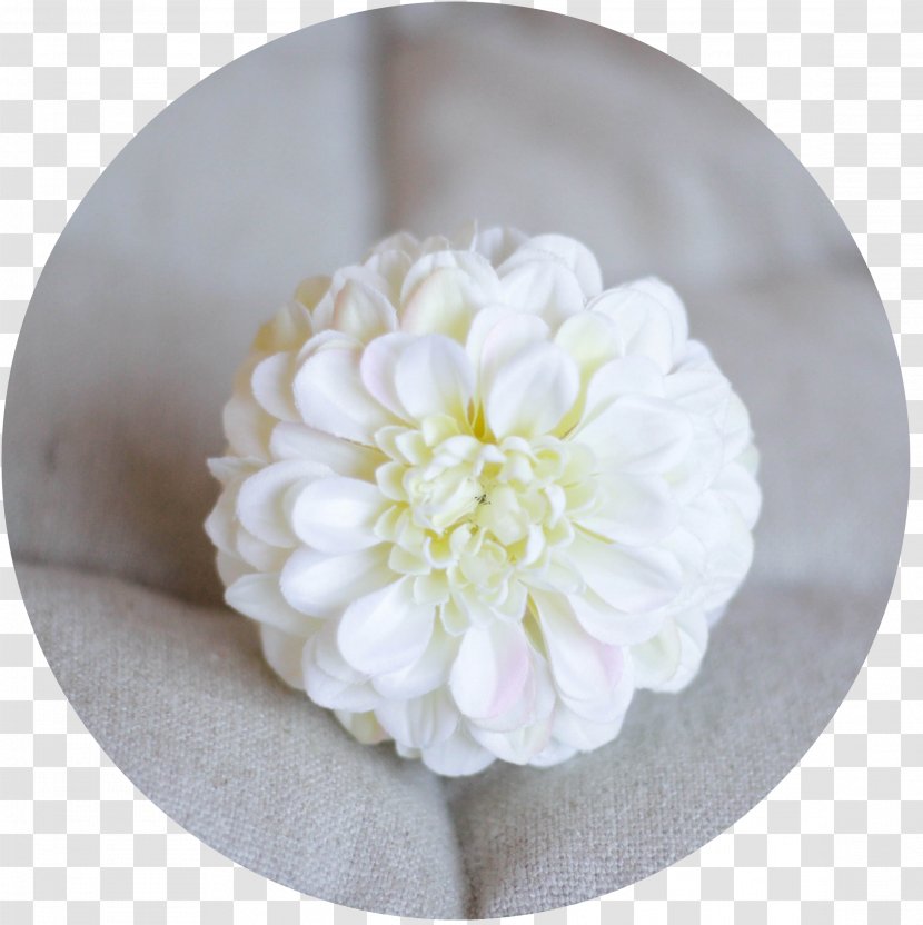 Petal Cut Flowers Email Pruning - Flower Transparent PNG