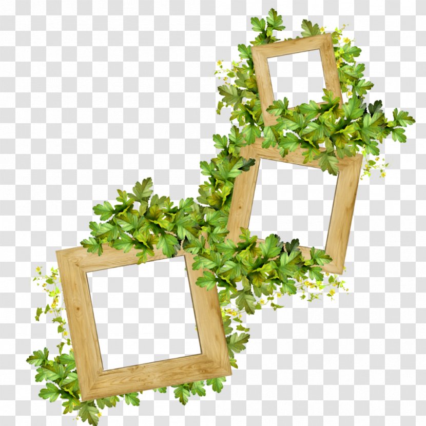 Saint Patrick's Day Picture Frames Photographer - Floral Design - Flowers In Clusters Transparent PNG