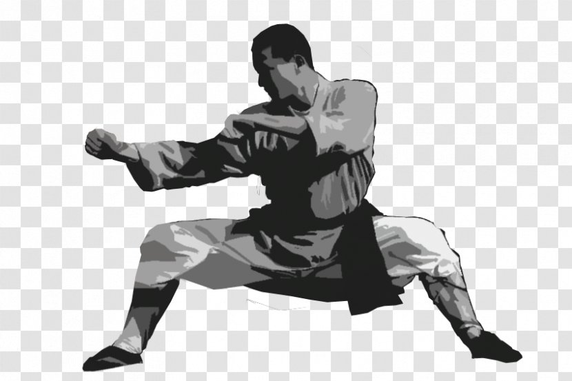 Chinese Martial Arts Yiquan Wushu Taolu - Wing Chun - Northern Praying Mantis Art Transparent PNG