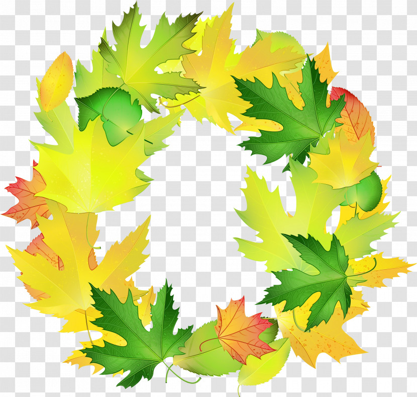 Maple Leaf Transparent PNG