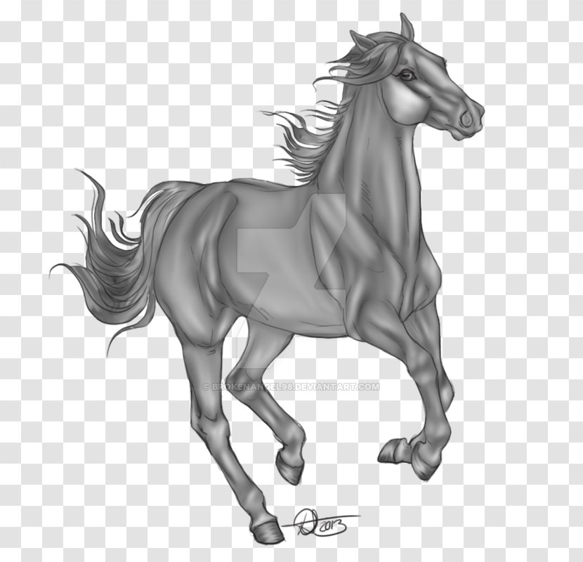 Horse Cartoon - Sorrel - Blackandwhite Liver Transparent PNG