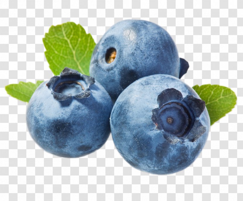 Blueberry Vaccinium Corymbosum Cambridge Advanced Learner's Dictionary Spanish Language Translation - Learner S - Blueberries Transparent PNG