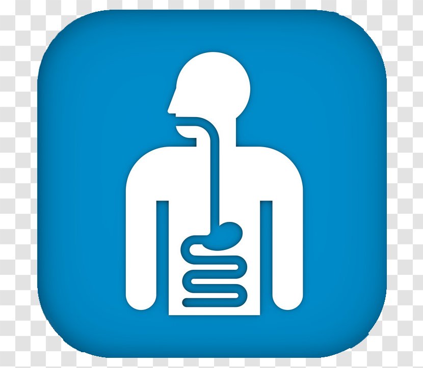 Gastroenterology Medical Billing Medicine Gastroenteritis Physician - Text - Preventive Healthcare Transparent PNG