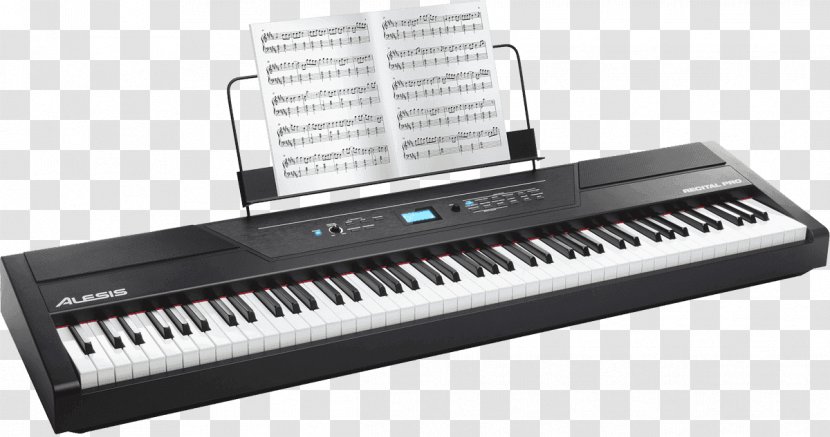 Digital Piano Keyboard Action Alesis - Cartoon - Recital Transparent PNG