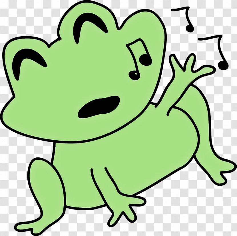 Hyla Green Tree Frog Cartoon Clip Art - Line Transparent PNG