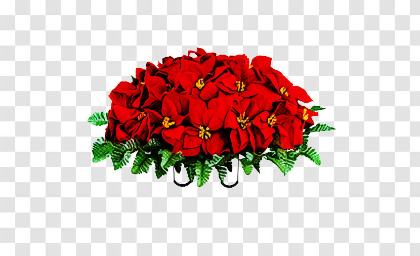 Garden Roses Transparent PNG