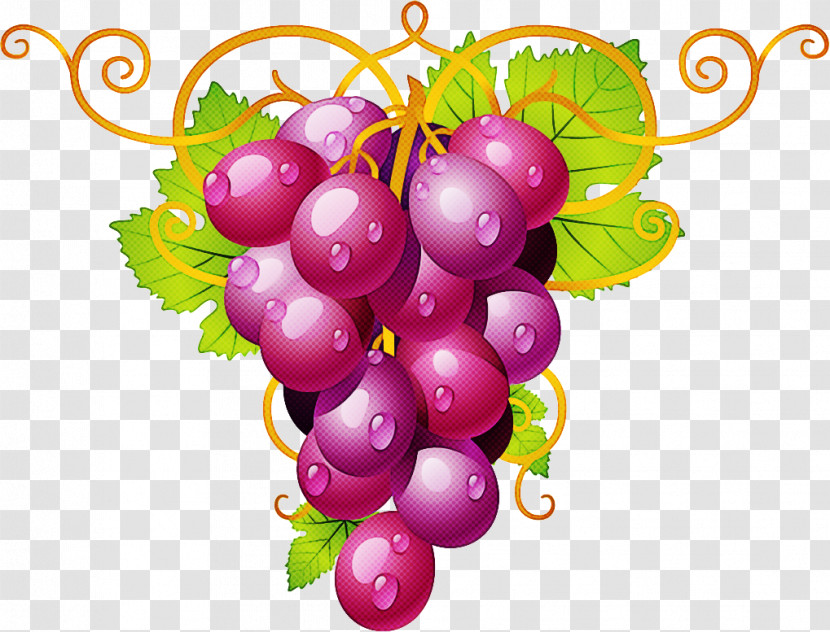 Grape Seedless Fruit Grapevine Family Fruit Plant Transparent PNG