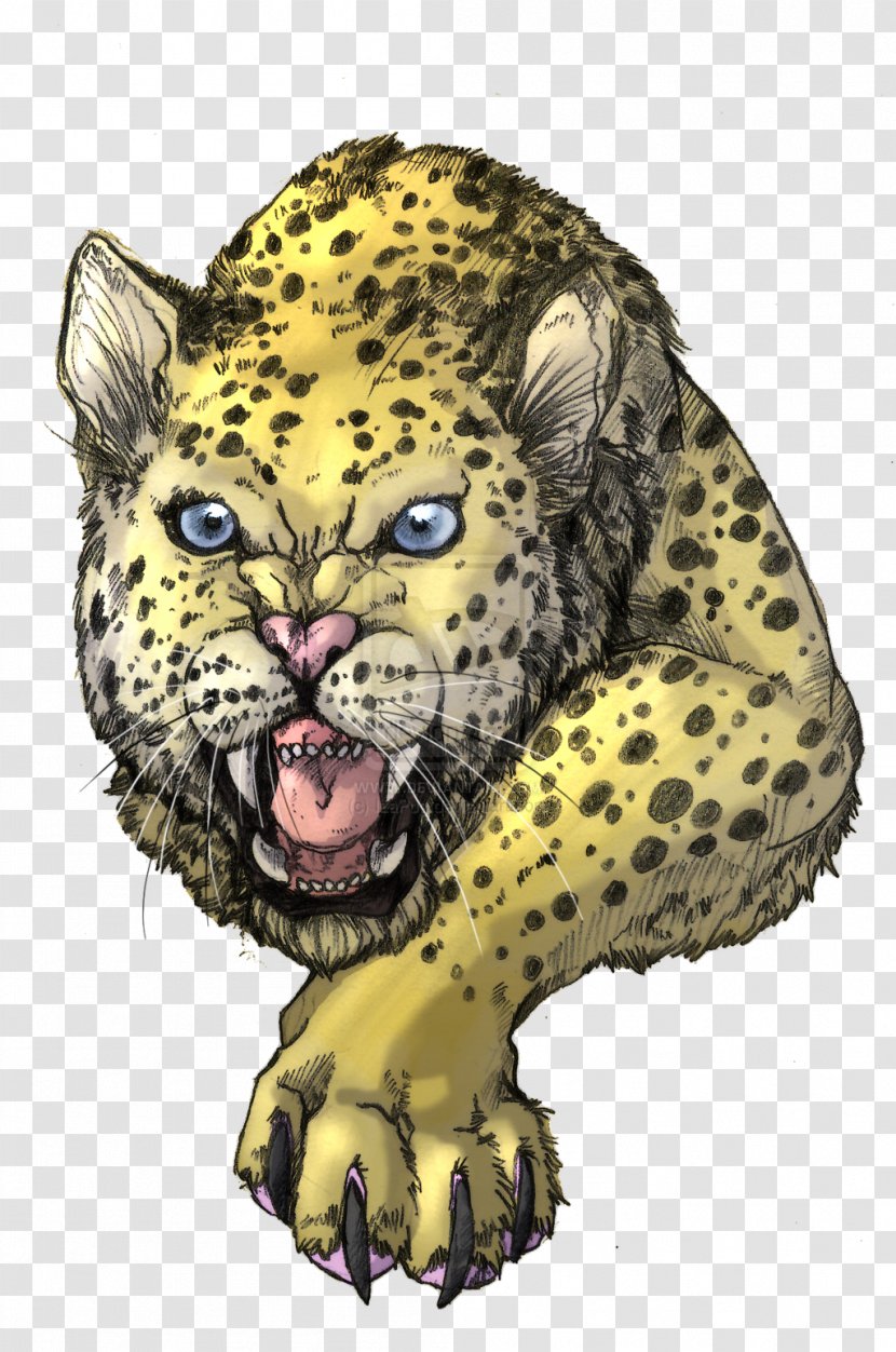 Snow Leopard Jaguar Cheetah Felidae - Organism Transparent PNG