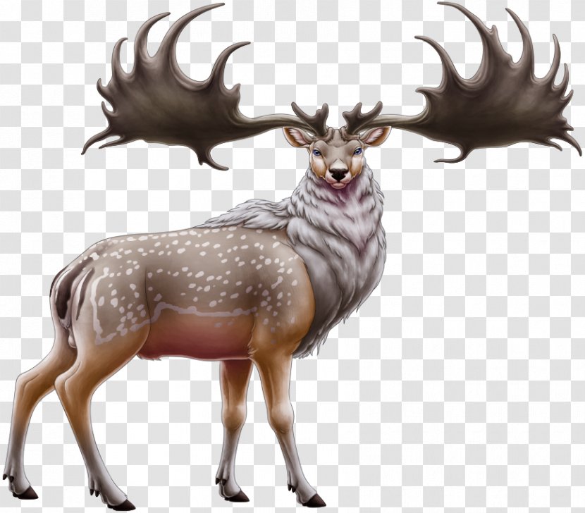 Reindeer Elk Moose Antler - Mammal Transparent PNG