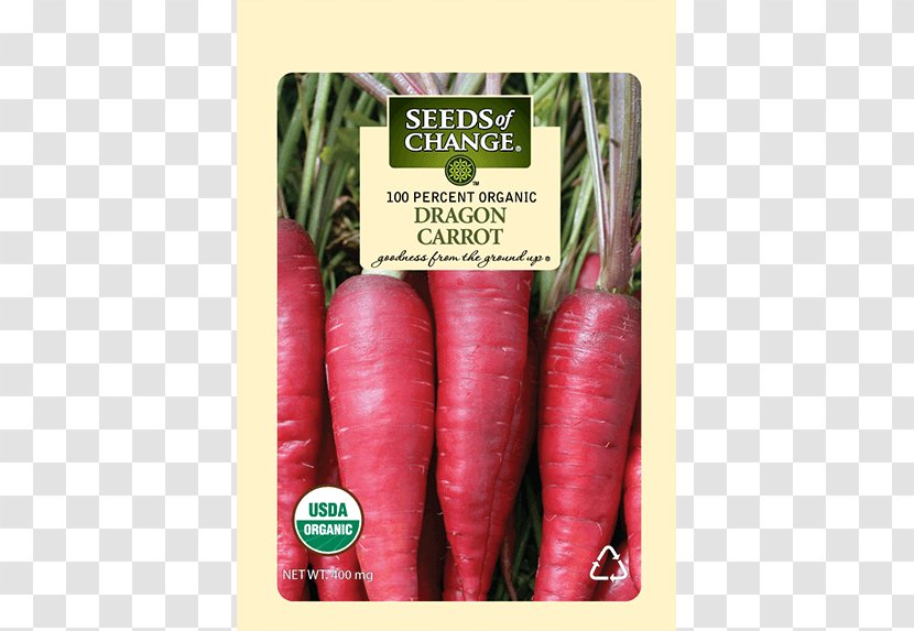 Radish Carrot Food Seed Root Vegetables - Daucus Carota Transparent PNG