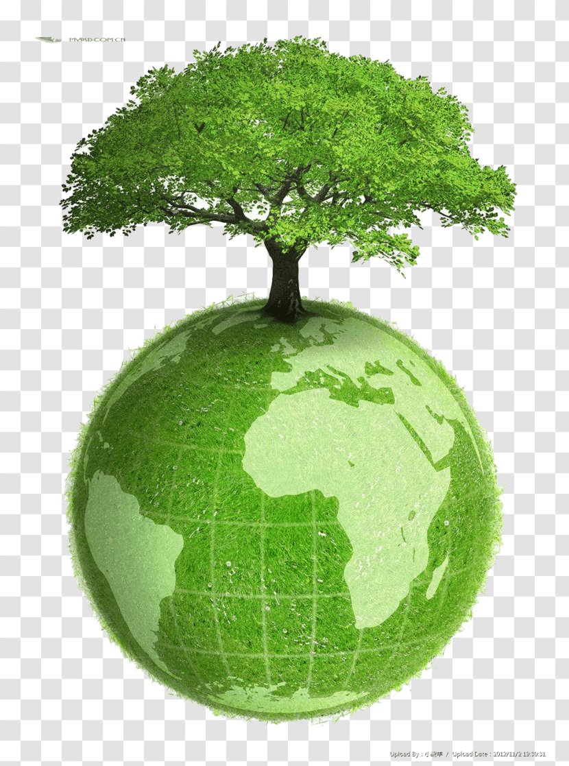 Earth Royalty-free Stock Photography Natural Environment Planet - Green - Tree Transparent PNG