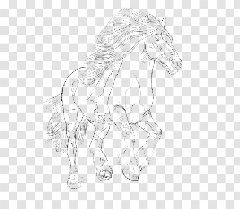 Mane Mustang Appaloosa Gypsy Horse Pony - Drawing Transparent PNG