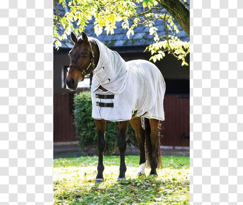 Horse Carpet Blanket Equestrian Olsons Tack Shop - Livestock Transparent PNG