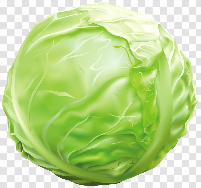 Vegetable Cabbage Lettuce Clip Art - Fruit Transparent PNG