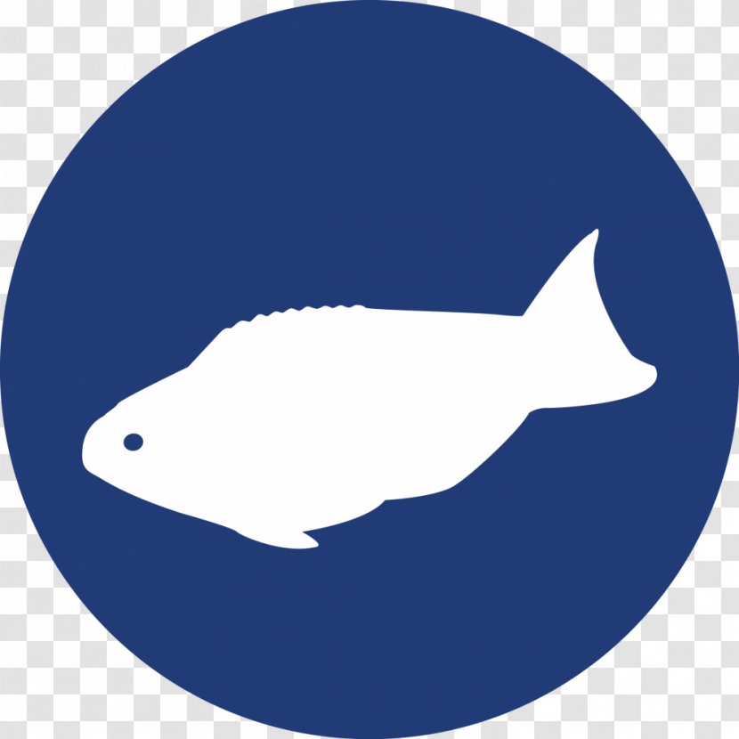 Marketing Company Logo Product - Fish - Coral Reef Mangroves Transparent PNG