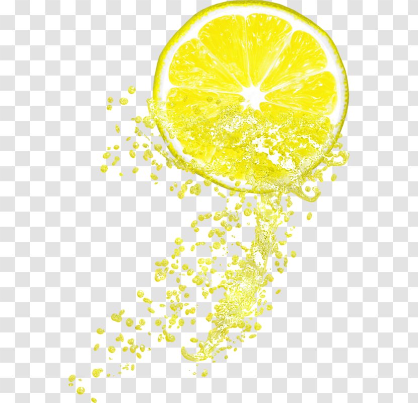 Lemon-lime Drink Juice Lemonade Citrus Junos - Auglis - Lemon Transparent PNG